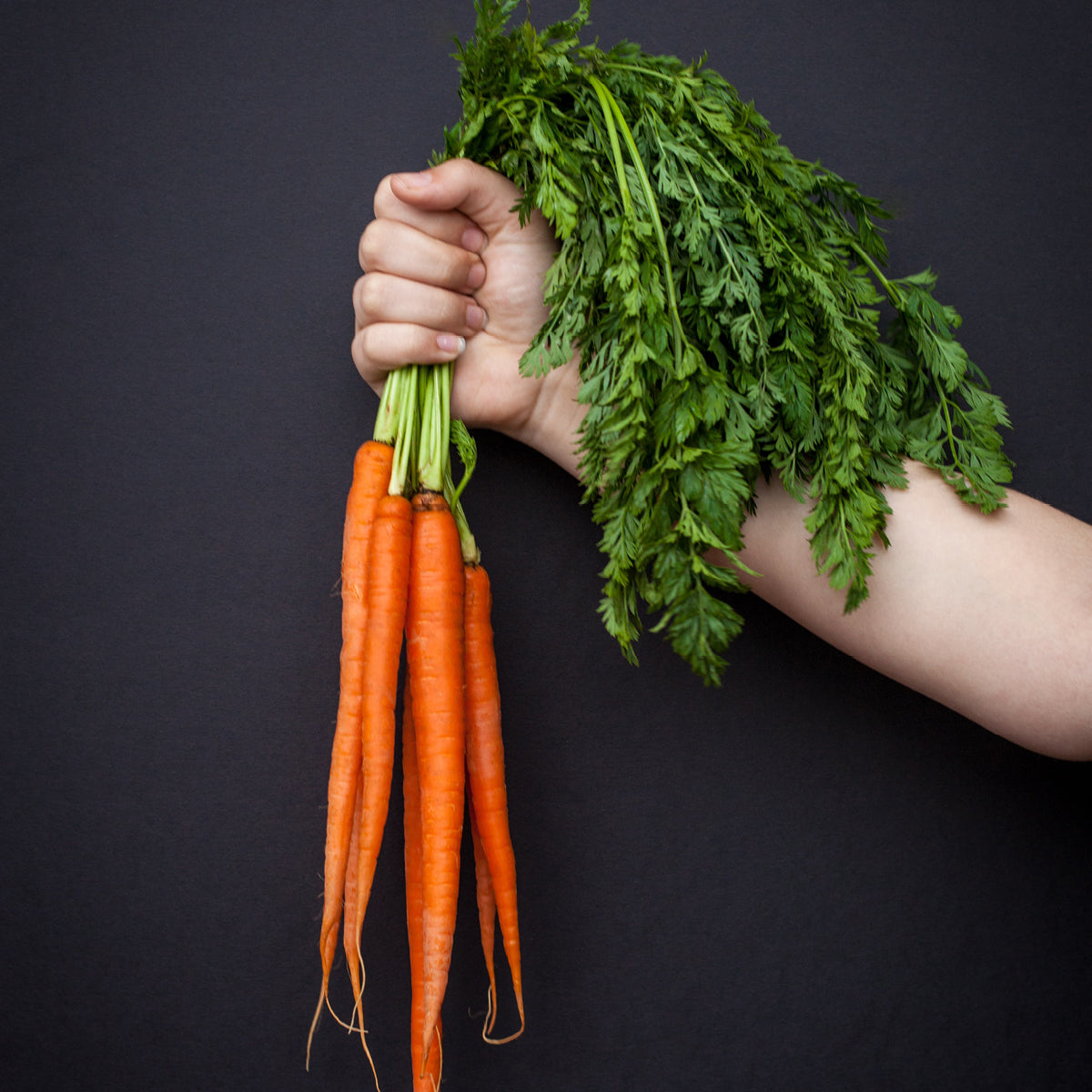 Carrots Image