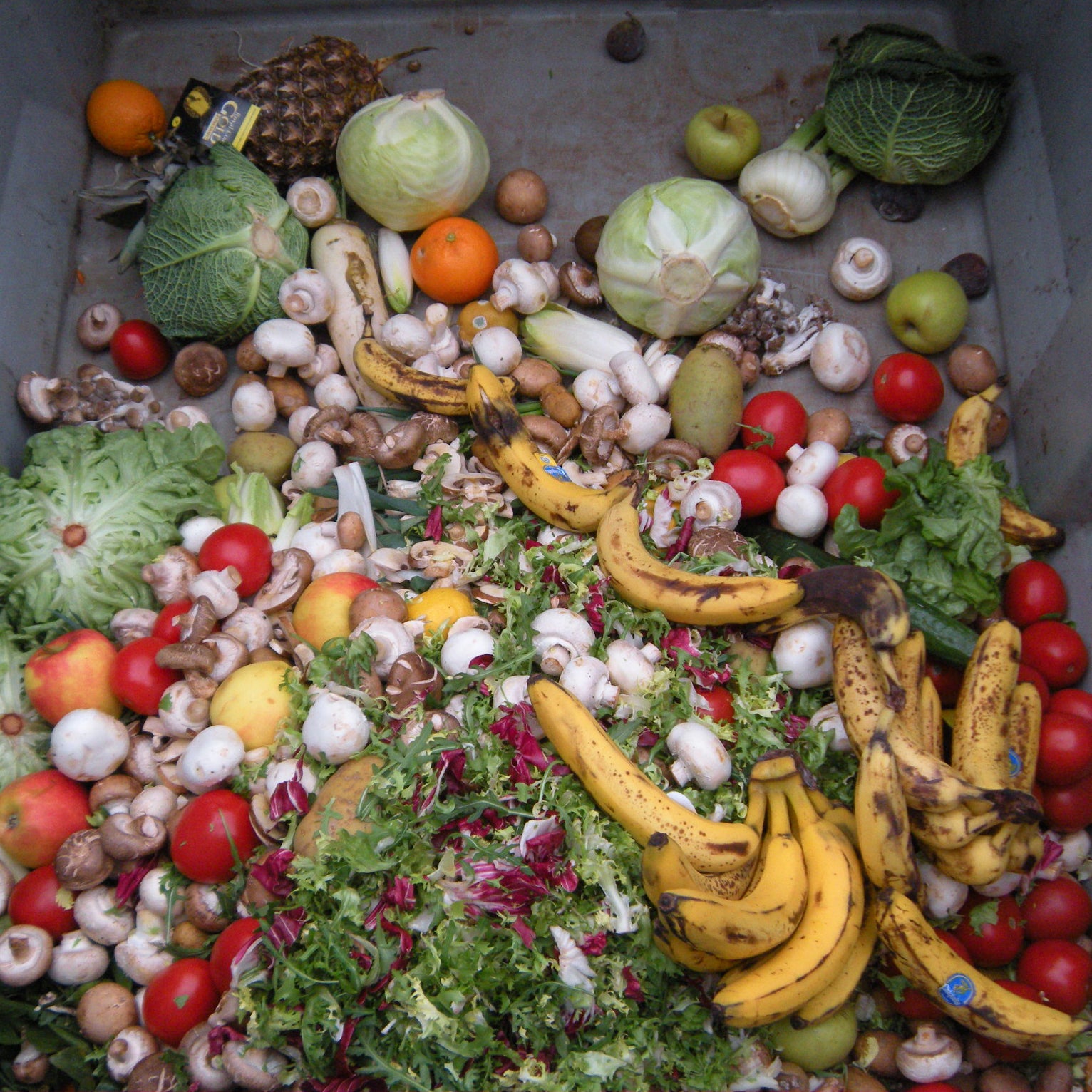 Really, just eat it!